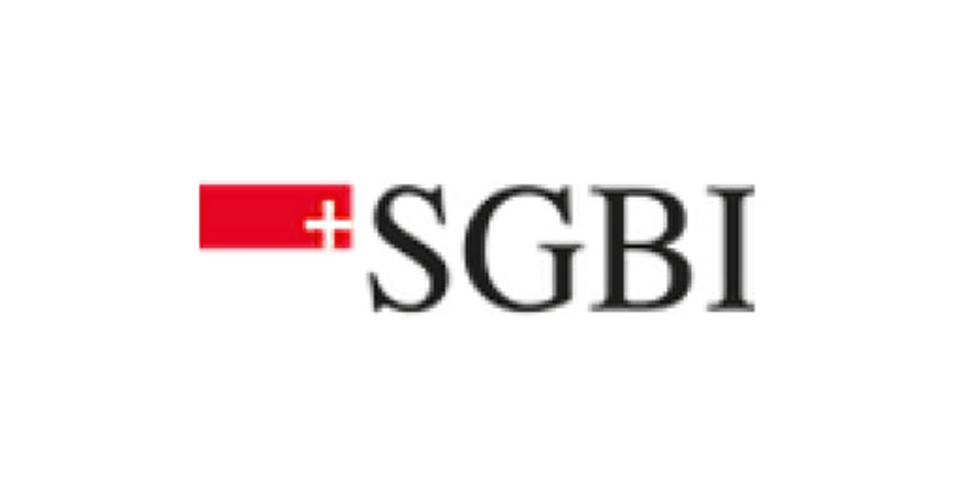 Lock Partner SGBI
