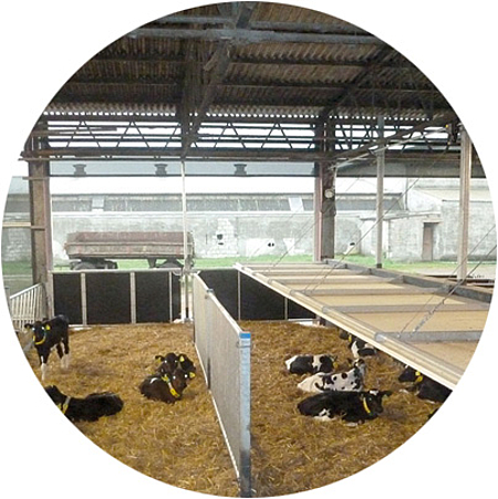 LockDrives-Anwendung Stallkonstruktion für Rinder und Schweine, Klimaabdeckung